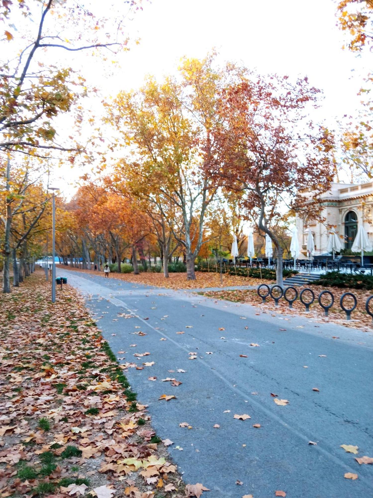 Free Garage! Downtown Apartment, Near To Andrassy Avenue Budapest Kültér fotó